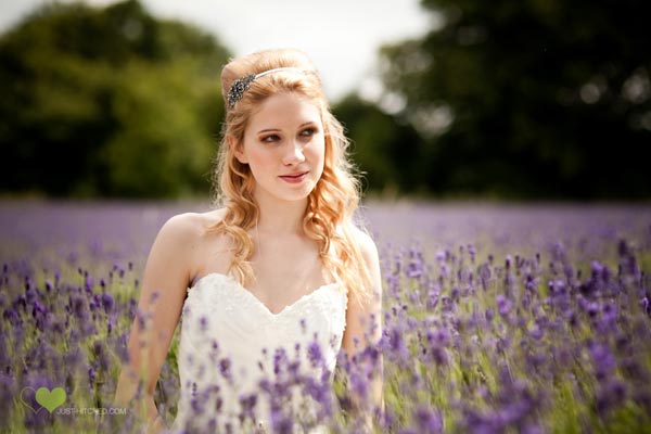 Đắm ch&igrave;m trong sắc t&iacute;m oải hương ở Mayfield London